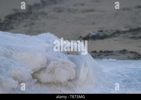 Feder hält sich der Winter mit einem festen Händedruck Stockfoto