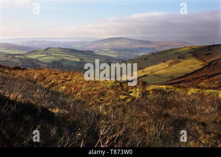 Der Westen Webburn River Valley von Hookney, Dartmoor, Devon, Großbritannien Stockfoto