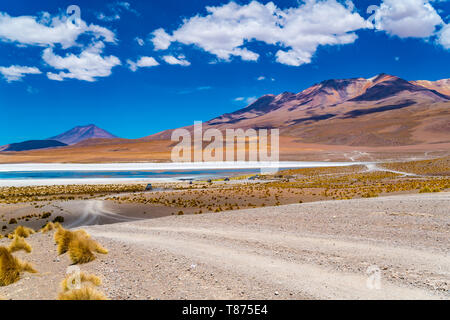 Die malerische Landschaft des Laguna Canapa in sonniger Tag mit der James Flamingo. Laguna Canapa ist ein endorheic Salt Lake liegt auf dem bolivianischen Altiplano. Stockfoto
