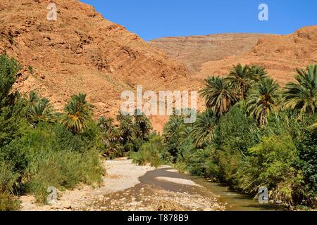 Marokko, Sous-Massa - Draa Region, der Hohe Atlas, Todra (Todgha) Valley, Todra Schlucht (Todgha) Stockfoto