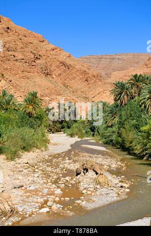 Marokko, Sous-Massa - Draa Region, der Hohe Atlas, Todra (Todgha) Valley, Todra Schlucht (Todgha) Stockfoto