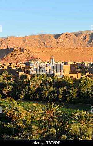 Marokko, Sous-Massa-Draa Region, hoher Atlas, (Todgha) Todra-Tal, Oasis und Palm Grove von Tineghir Stockfoto