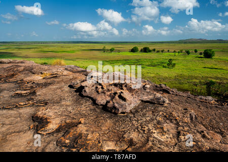Spektakuläre Sicht vom Ubirr Rock in die Sumpfgebiete. Stockfoto