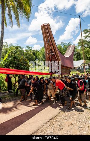 Indonesien, Insel Sulawesi, Toraja Land, Tana Toraja, Männer halten der Leichenwagen während der Beerdigung cermony Stockfoto