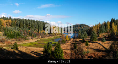 Panoramablick auf den Loch Achray Wald Drunkie auf der Fahrt in die Trossachs, Schottland, Großbritannien Stockfoto