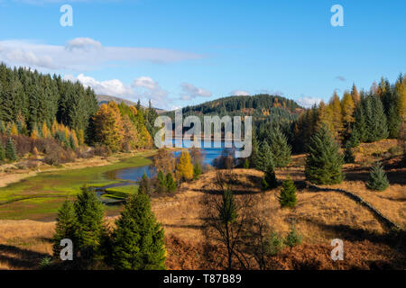 Blick auf Loch Achray Wald Drunkie auf der Fahrt in die Trossachs, Schottland, Großbritannien Stockfoto