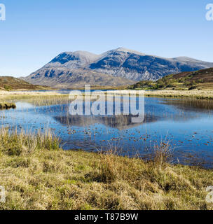 Der Berg Arkle im Loch Stack spiegelt sich auf einer ruhigen klaren Frühlingsmorgen, Sutherland, Scottish Highlands, Schottland Großbritannien Stockfoto