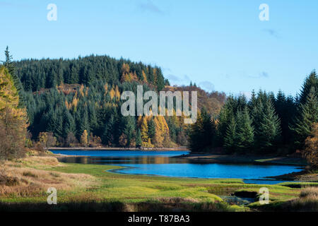 Blick auf Loch Achray Wald Drunkie auf der Fahrt in die Trossachs, Schottland, Großbritannien Stockfoto