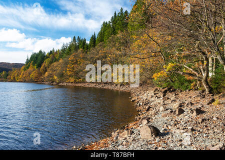 Blick entlang der Ufer von Loch Achray Wald Drunkie auf der Fahrt in die Trossachs, Schottland, Großbritannien Stockfoto