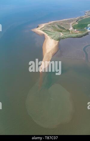 Frankreich, Vendée, L'Aiguillon-sur-Mer, La pointe de l'Aiguillon (Luftbild) Stockfoto