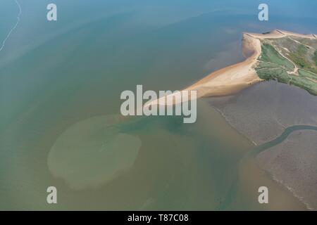 Frankreich, Vendée, L'Aiguillon-sur-Mer, La pointe de l'Aiguillon (Luftbild) Stockfoto