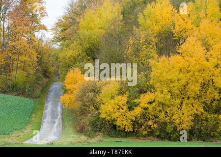 Frankreich, Maas, Argonne region, Esnes en Argone, Straße in den Argonnen Stockfoto