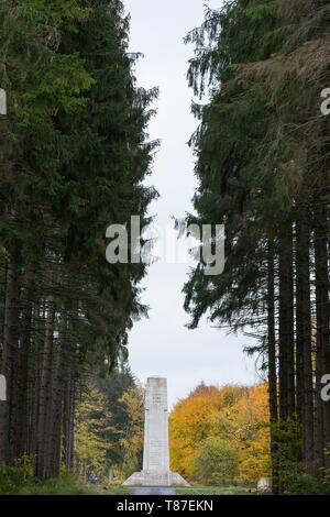 Frankreich, Maas, Argonne region, Esnes en Argone, der Cote 304 Kriegerdenkmal 1934 eingeweiht Stockfoto