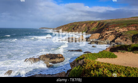 Wellen gegen die Bodega Bay Head in Nordkalifornien Stockfoto