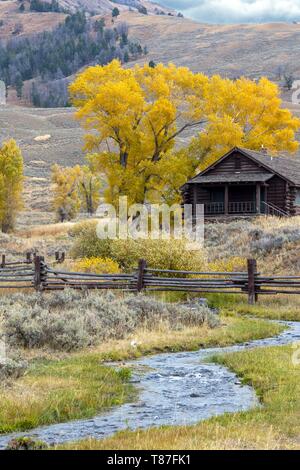 Usa, Wyoming, Yellowstone National Park, Lamar Valley Stockfoto