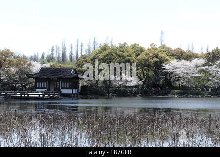 Landschaft am berühmten Hangzhou West Lake Scenic Area, VR China Stockfoto