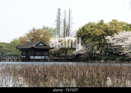 Landschaft am berühmten Hangzhou West Lake Scenic Area, VR China Stockfoto