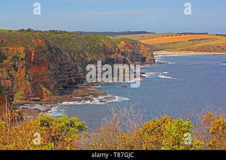 Murrays lookout Arthurs Seat Scenic Road, in Arthurs Seat State Park Victoria, Australien bieten einen hervorragenden Blick auf die Bucht Stockfoto