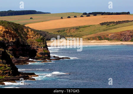 Murrays lookout Arthurs Seat Scenic Road, in Arthurs Seat State Park Victoria, Australien bieten einen hervorragenden Blick auf die Bucht Stockfoto