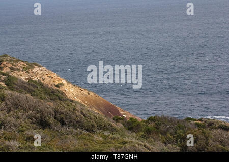 Murrays lookout Arthurs Seat Scenic Road, in Arthurs Seat State Park Victoria, Australien bieten einen hervorragenden Blick auf die Bucht Stockfoto