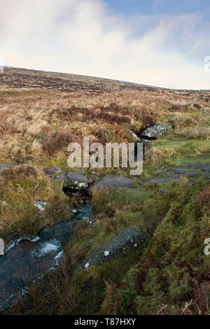 Ein kleiner Bach, Grim's Lake, auf Hookney Moor, Dartmoor, Devon, Großbritannien Stockfoto