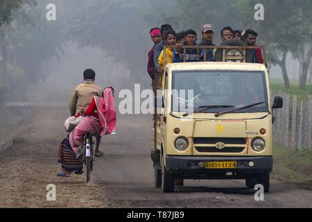 Indien, Assam, Harroocharai tee Immobilien Stockfoto