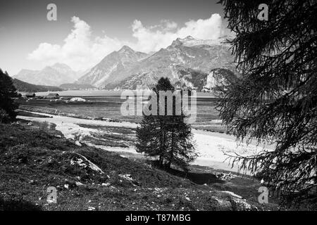 Wandern rund um Silser See - Oberengadin - Schweiz - Schwarz/Weiß-Bild Stockfoto