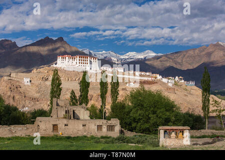 Stakna gompa Tempel buddhistische Kloster mit Himalaya Berge im Hintergrund Stockfoto