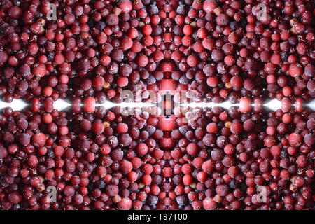 Essen Hintergrund, Textur der sortierten frische Beeren Stockfoto