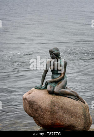 Statue der kleinen Meerjungfrau am Meer in Kopenhagen. Dänemark Stockfoto