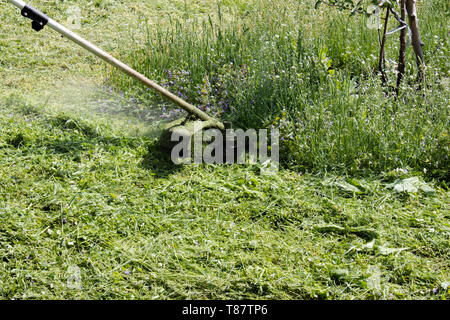Ein Mann mit einer manuellen Rasenmäher mäht das Gras, Mäher Nahaufnahme. Stockfoto
