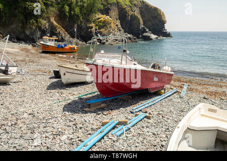 Boot "Freebird von Cadgwith' auf Kieselstrand mit Kunststoff blau Rollen in dem Fischerdorf Cadgwith, Cornwall, England, Großbritannien Stockfoto