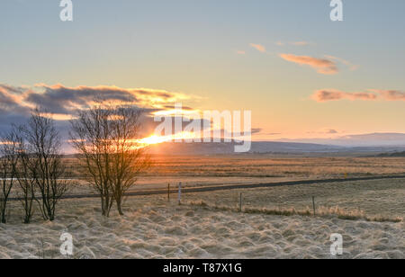 Sonnenaufgang in der isländischen Landschaft an einem frostigen Tag Stockfoto