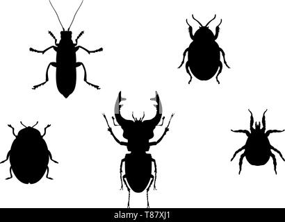 Set käfer insekt schwarze Silhouette Tier Stock Vektor