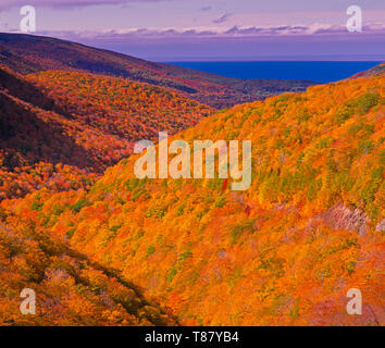 Fallen Sie auf dem Cabot Trail im Cape Breton Highlands National Park am Cape Breton im Norden von Nova Scotia, Kanada. Highlands National Park Stockfoto