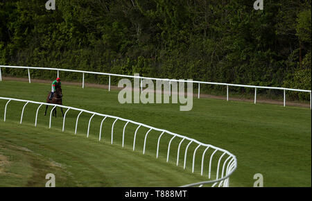 Neff geritten von Jockey David Probert nach dem Gewinn der Besuch attheraces.com Behinderung bei der Derby Schnuppertag bei Lingfield Pferderennbahn. Stockfoto