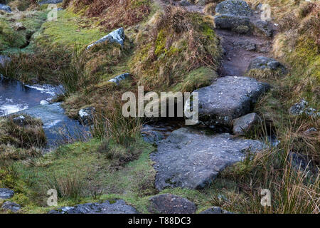 Ein kleiner Bach, Grim's Lake, auf Hookney Moor, Dartmoor, Devon, Großbritannien Stockfoto