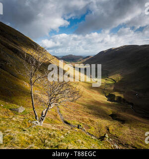 Ullswater, Lake District, Cumbria, Wandern off place Fell Berg & Blick durch das Tal in Richtung Hallin Fell & Martindale Stockfoto