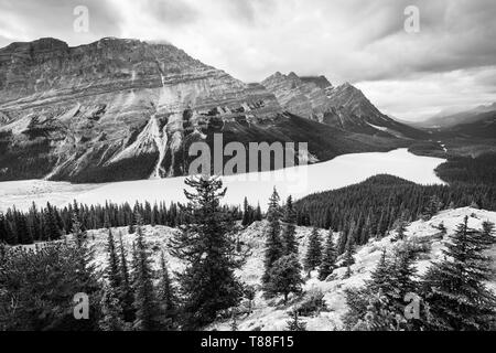 Hoch oben, über touristische Schwänze & Pfade sind die besten Orte, um die atemberaubenden Wolf geformt Peyto Lake&watch Sturm & Regen Wolken zu sehen. Stockfoto