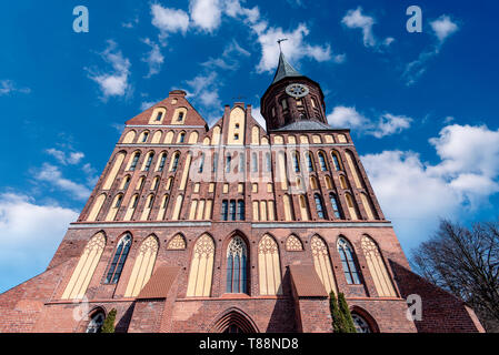Dom oder Königsberg Kathedrale in Kaliningrad auf Kant Insel in Russland Stockfoto