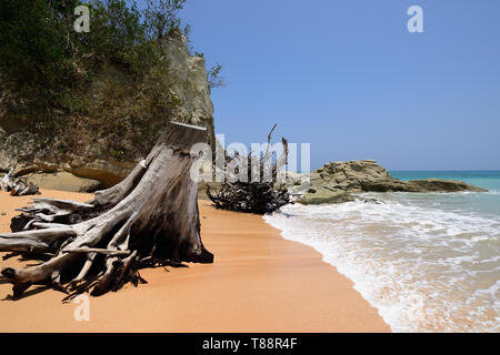 Die meisten wunderschöne, exotische Sitapur Strand auf der Andaman an Neil Insel der Andamanen und Nikobaren Inseln, Indien Stockfoto