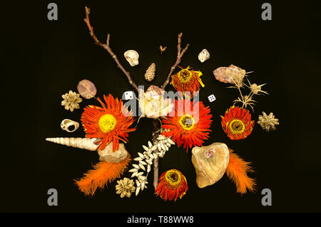 Helle noch Leben mit einem trockenen Zweig, verwelkte Blumen Orange Gerbera, trockene Rose Bud unter den Muscheln und kleine Steine mit orangefarbenen Federn und Kegel Stockfoto