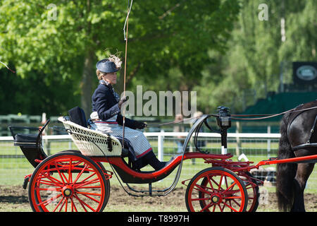 Windsor, Großbritannien. 12. Mai 2019. Sophie Wessex Beförderung im Royal Windsor Horse Show fahren. Credit: Maureen McLean/Alamy leben Nachrichten Stockfoto