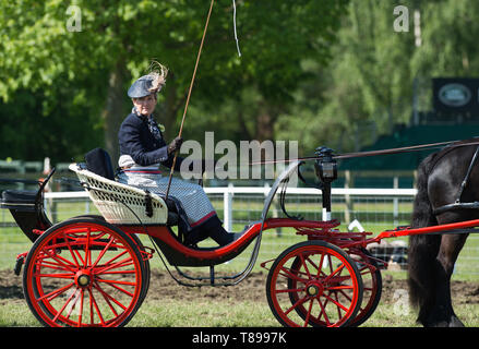 Windsor, Großbritannien. 12. Mai 2019. Sophie Wessex Beförderung im Royal Windsor Horse Show fahren. Credit: Maureen McLean/Alamy leben Nachrichten Stockfoto