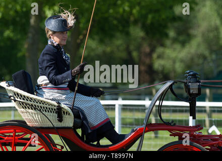 Windsor, Großbritannien. 12. Mai 2019. Sophie Wessex Beförderung im Royal Windsor Horse Show fahren. Credit: Maureen McLean/Alamy leben Nachrichten Stockfoto