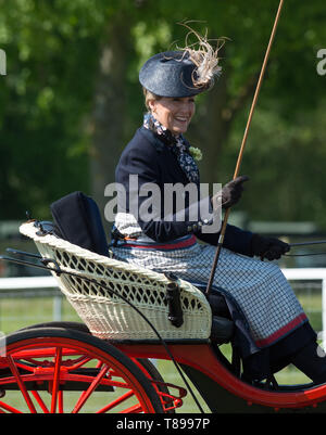 Windsor, Großbritannien. 12. Mai 2019. Sophie Wessex Beförderung im Royal Windsor Horse Show fahren. Credit: Maureen McLean/Alamy leben Nachrichten Stockfoto