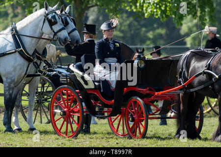 Windsor, Großbritannien. 12. Mai 2019. Sophie Wessex Beförderung im Royal Windsor Horse Show fahren. Credit: Maureen McLean/Alamy leben Nachrichten Stockfoto