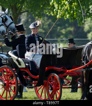 Windsor, Großbritannien. 12. Mai 2019. Sophie Wessex Beförderung im Royal Windsor Horse Show fahren. Credit: Maureen McLean/Alamy leben Nachrichten Stockfoto