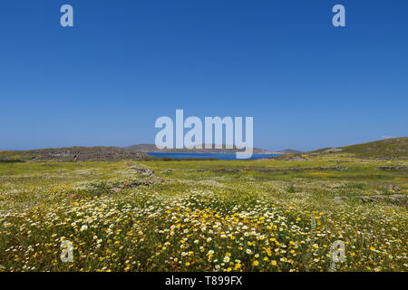 Delos. 3. Mai, 2019. Foto am 3. Mai 2019 zeigt die Landschaft von Delos, Griechenland. Delos, einmal in der boomenden Handelsplatz in der Mitte der Ägäis in der Nähe von Mykonos, ist ein UNESCO Weltkulturerbe mit einer Geschichte von 5000 Jahren. Delos ist in der Griechischen Mythologie als die Heilige Geburtsort von Zwillinge Apollo, der Gott des Lichtes, und Artemis, Göttin der Jagd verehrt. Credit: Li Xiaopeng/Xinhua/Alamy leben Nachrichten Stockfoto