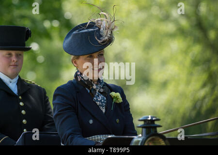 Windsor, Großbritannien. 12. Mai 2019. Sophie Wessex Beförderung im Royal Windsor Horse Show fahren. Credit: Maureen McLean/Alamy leben Nachrichten Stockfoto